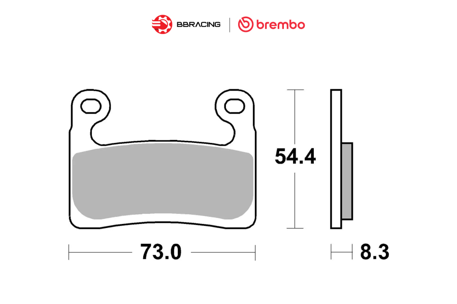 Bố Thắng Brembo BMW S1000 RR 2019-22 (Hayes) - Trước 07GR90SA