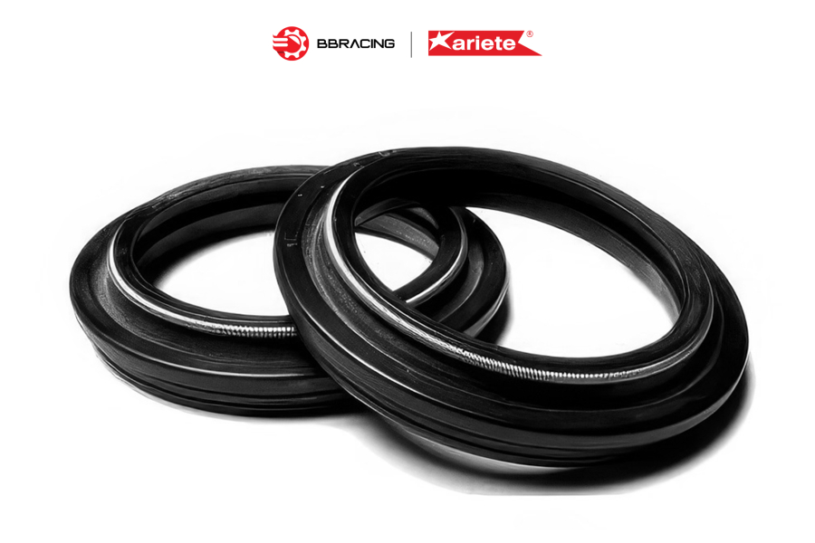 Phốt Dầu Ariete DC4Y 48 x 57,91 x 9,5/11,5