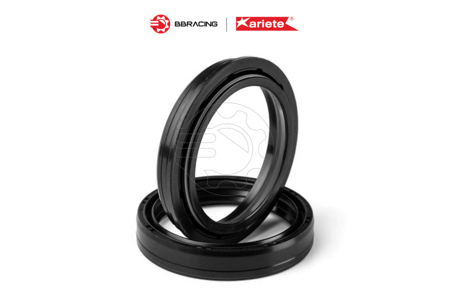 Phốt Dầu Ariete 43 x 54 x 9,5/10,5