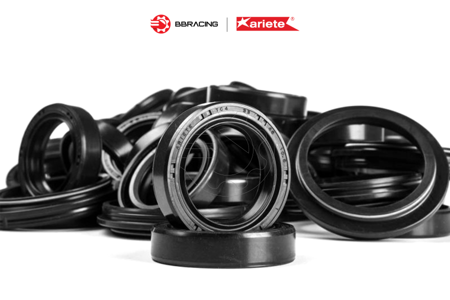 Phốt Dầu Ariete 43 x 54 x 9,5/10,5